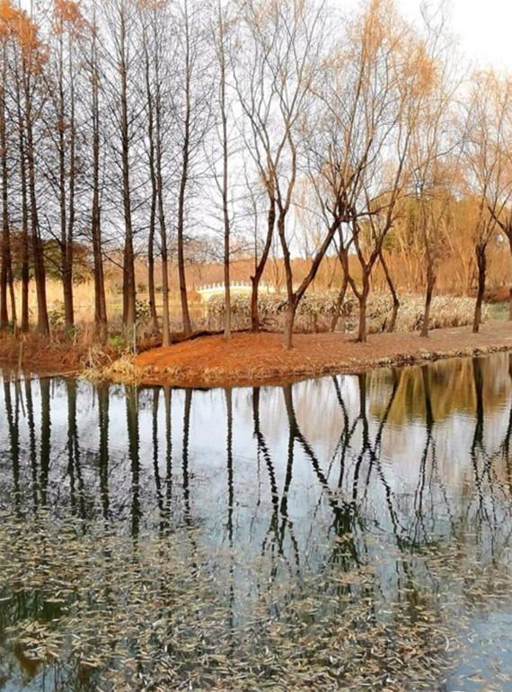 虎丘濕地公園